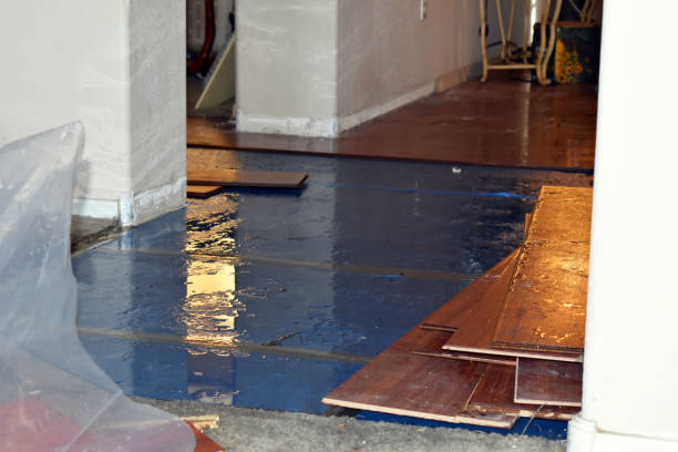 Professional Flood Cleanup technician working in Interlochen, MI